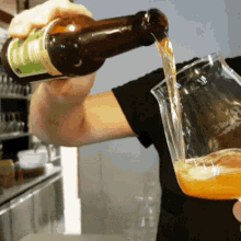 beer-cheers-champagne-glass-a7ewj1bdmpjwmgw1.gif