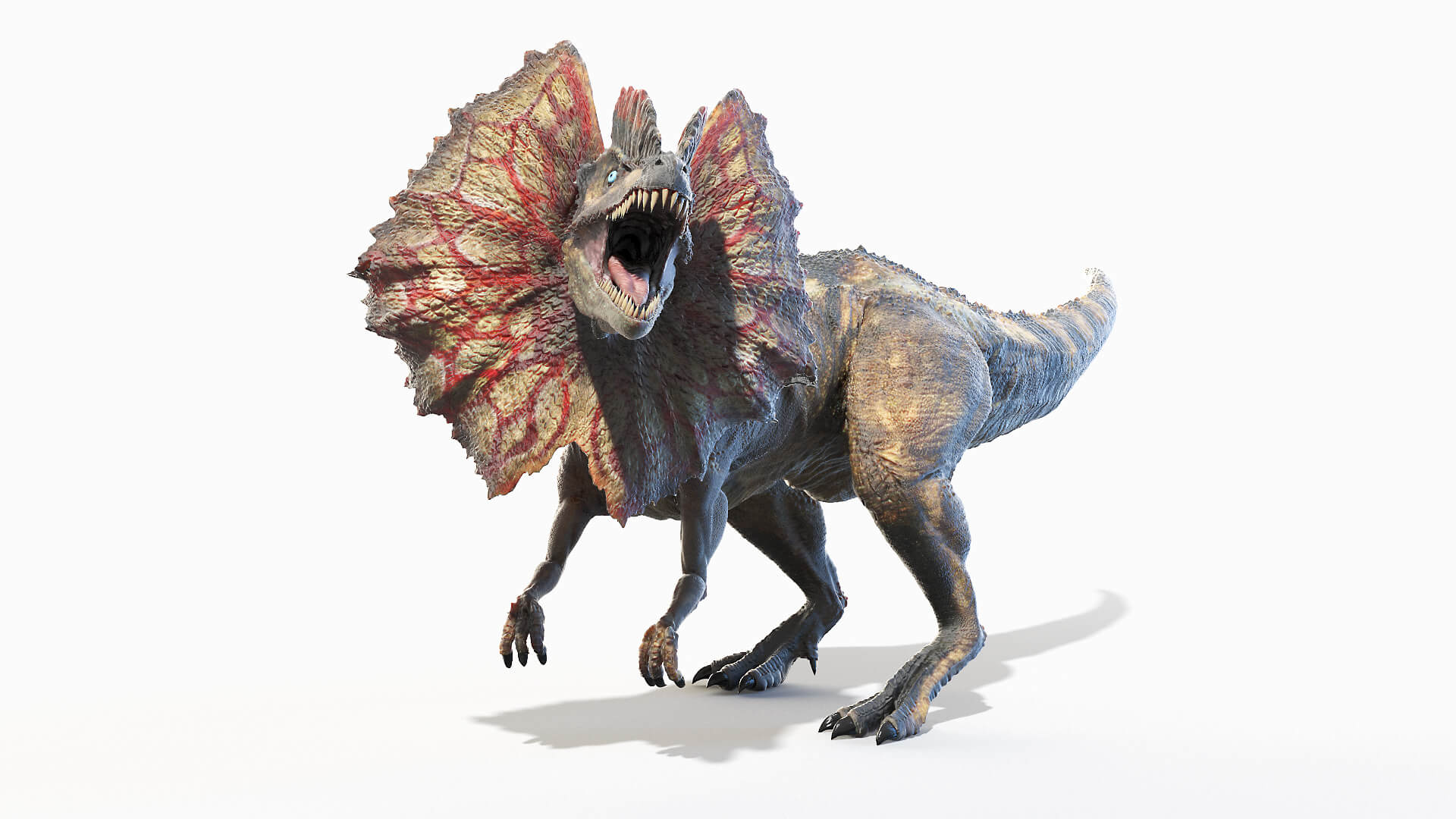 Dilophosaurus-is-roaring.jpg