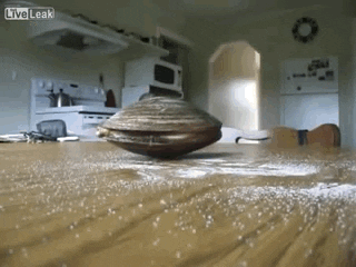 giphy.gif