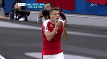 euro 2016 please GIF by Sporza