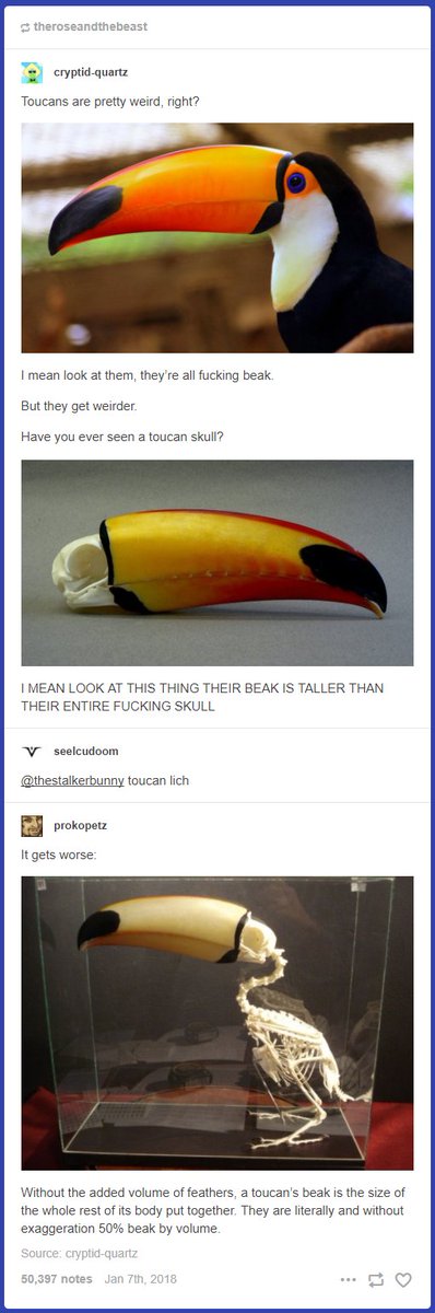 DYAXwqaX0AAdWvR.jpg