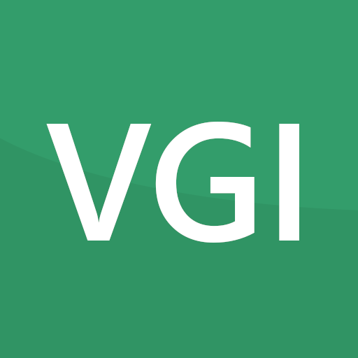 vginsights.com