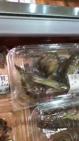 g0MKRGZg_o.gif