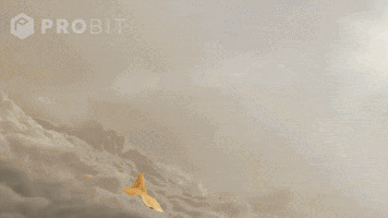 Elon Musk Meme GIF by ProBit Global