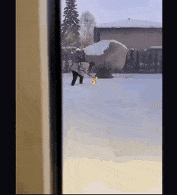 ohmicrosh-44.gif