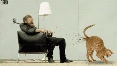 tumblr_ml9mp4ZqKx1rjlj53o1_400.gif