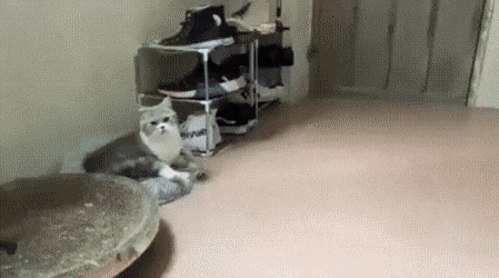 Welcomespring618.gif