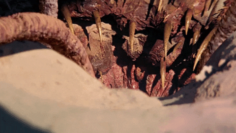 giphy.gif