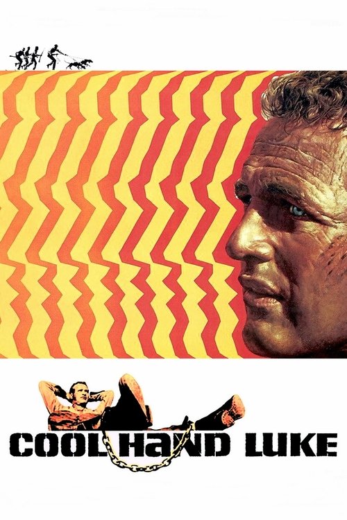 www.themoviedb.org