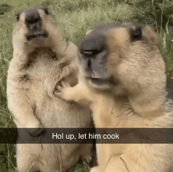 4ea6706067d326c4c20e414d3be97df9.png