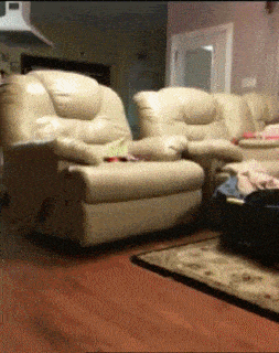 shhhhhhhhirk-6.gif