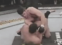 frankfuckinmirzn9.gif