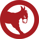 burro.ai