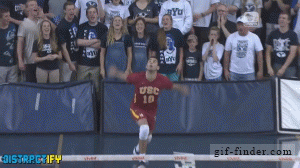 gifs_05.gif