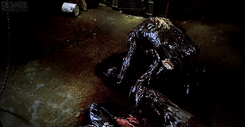 b2c01edb39fdacb296f5b4b382bd16c0.gif