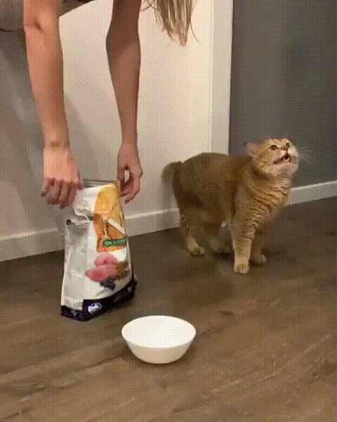 dh4u74lasp341.gif