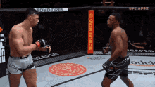 walker-johnny-walker-ufc-knockout-gif.gif