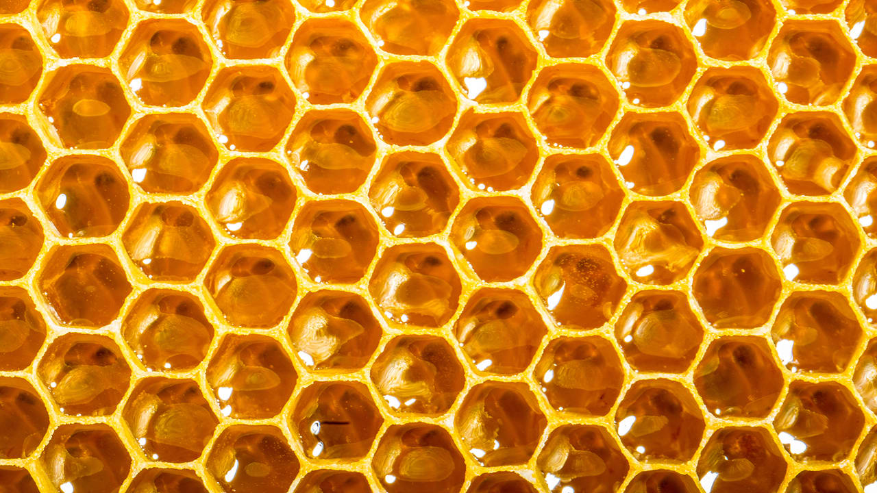 3021740-poster-1280-open-source-honey-bee-hive.jpg