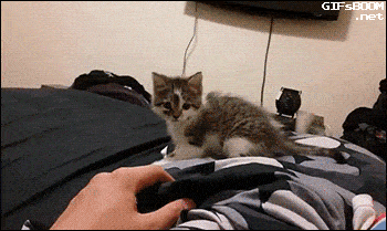 9rvucogsp3yy.gif