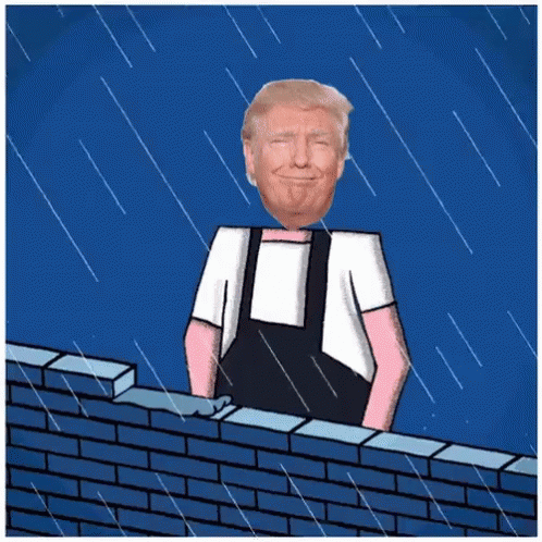 donald-trump-wall.gif