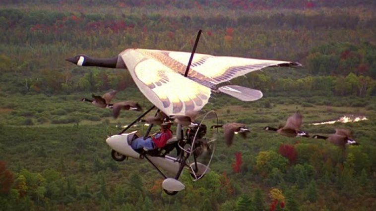Fly_Away_1_758_426_81_s_c1.jpg