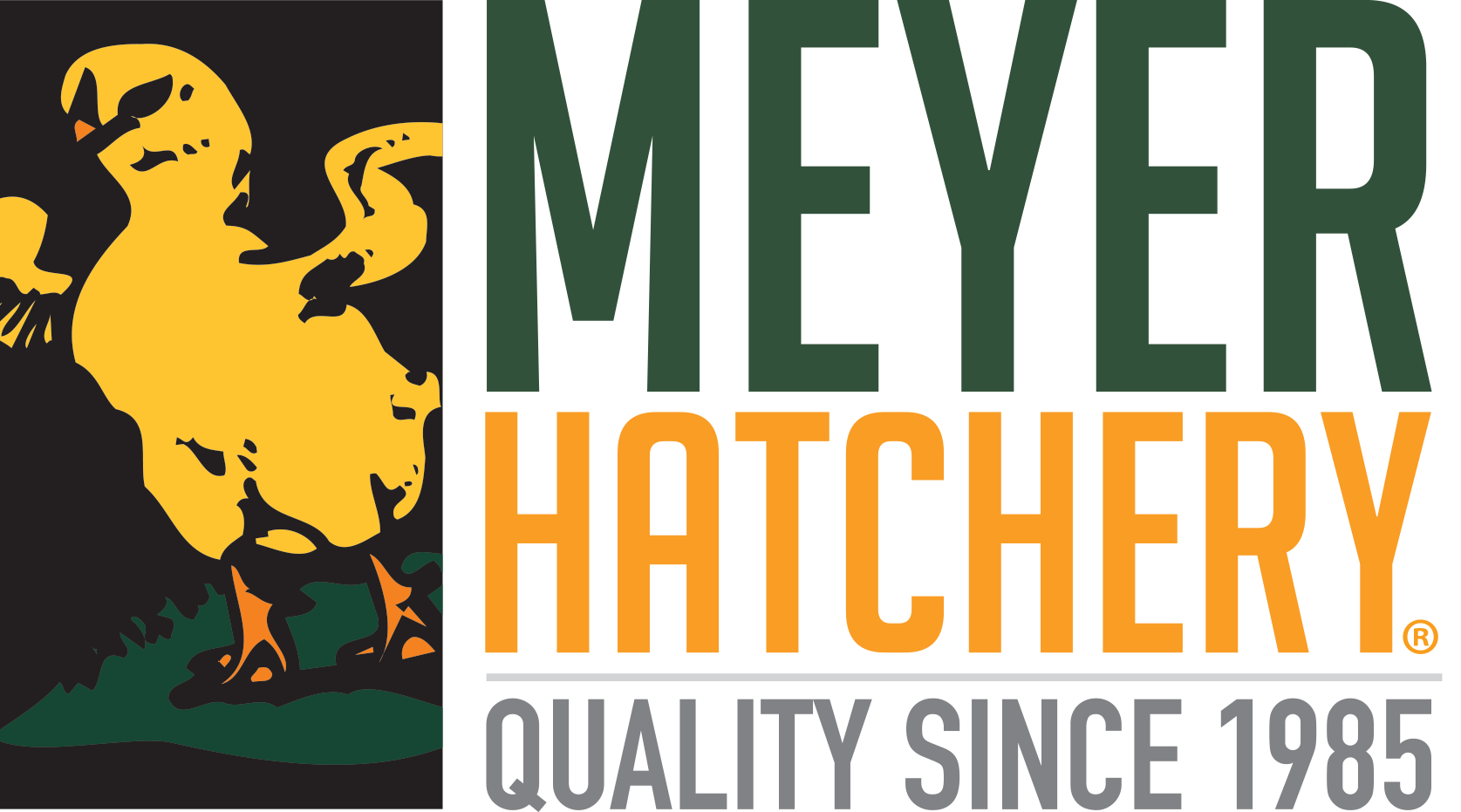 meyerhatchery.com