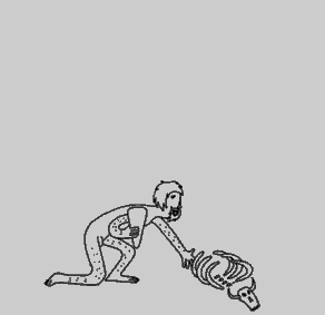 animated-gifs-human-evolution.gif