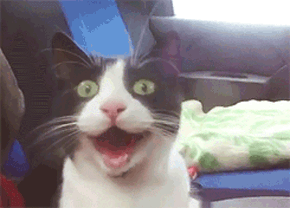 slide_330433_3254502_free.gif