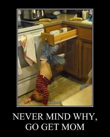 22979c25d6676732824c5cf5e8c37aa5--too-funny-funny-stuff.jpg
