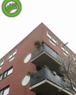 shirka-shirka-27.gif