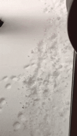 decembercron-69.gif