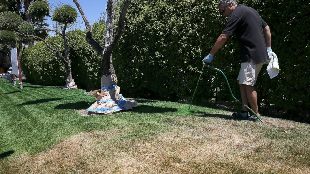 GTY_paint_lawn_california_2_jtm_140725_16x9_992.jpg