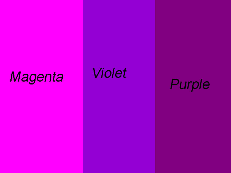 violet-vs-purple1.jpg
