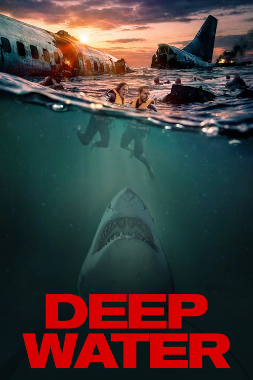 www.themoviedb.org
