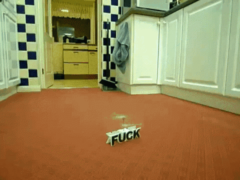 flying-fuck.gif