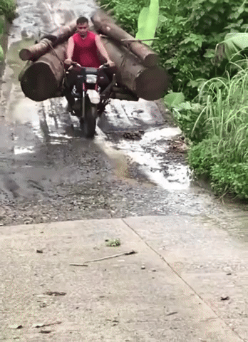 BunnyTracks5853.gif
