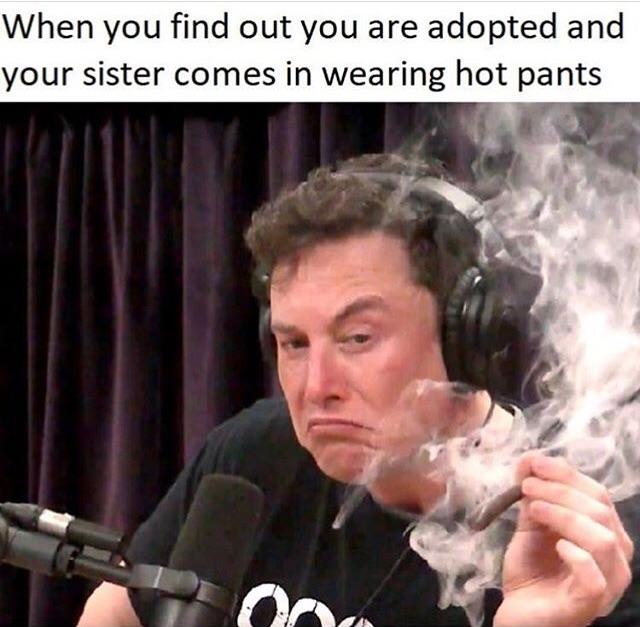 zsxnsdftv3l11.jpg
