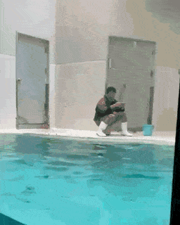 Freefallin6908.gif
