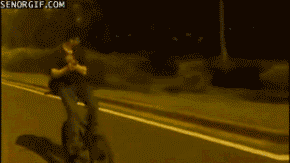 tumblr_n5ma6woIsw1sji7f2o1_400.gif