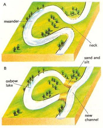 oxbow_lake.jpg