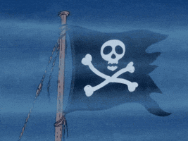 promo pirates GIF