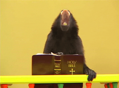 tumblr_lskyucGV9X1qg39ewo1_500.gif