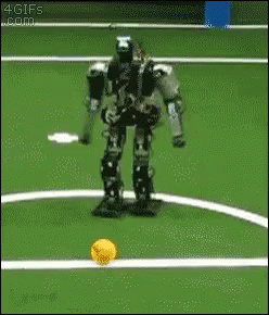 shitty-soccer.gif