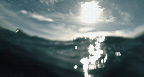 tumblr_mmfiptwCEP1r4zr2vo1_500.gif