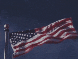 4Th Of July Usa GIF by US National Archives