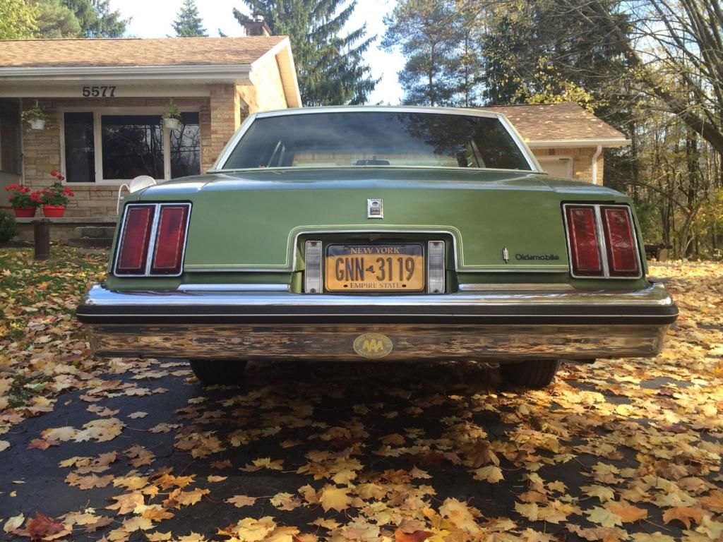 cutlass.jpg