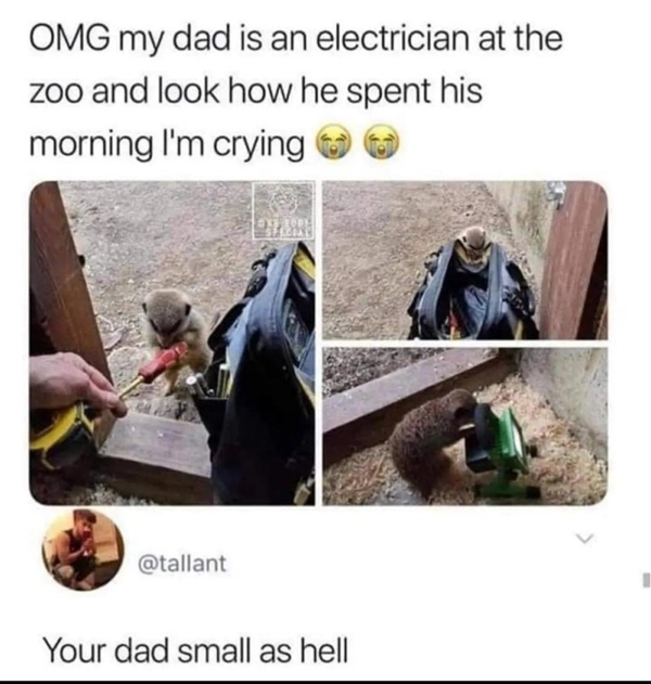 omg-my-dad-is-an-electrician-at-zoo-and-look-he-spent-his-morning-crying-tallant-dad-small-as-hell.jpg