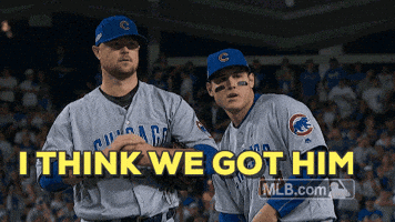 Got Em Chicago Cubs GIF by MLB