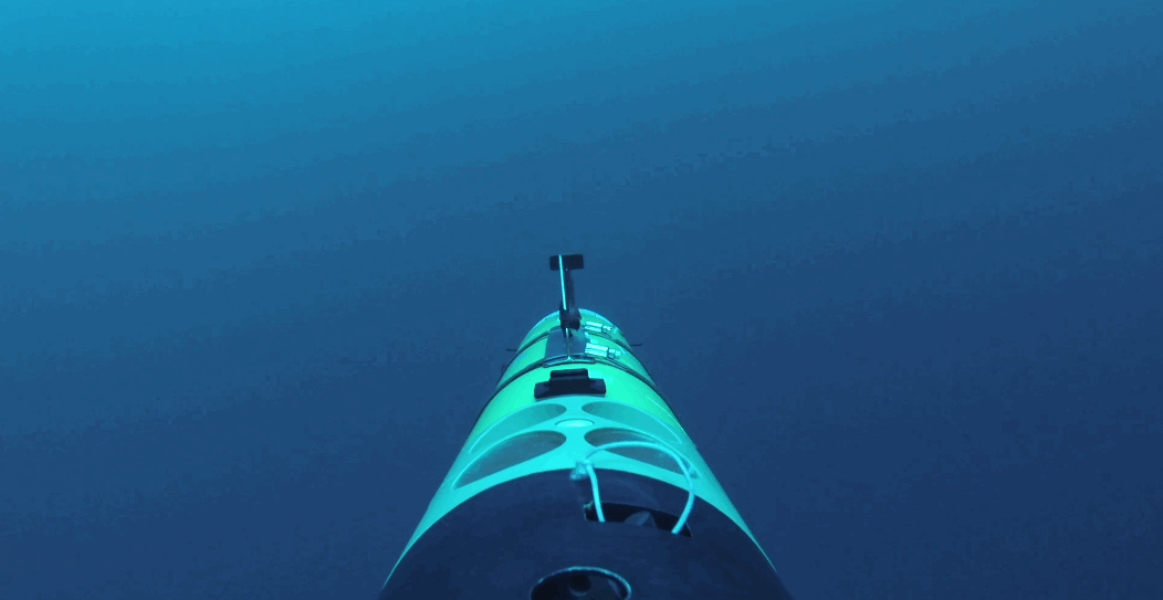 sharkcam 2.gif