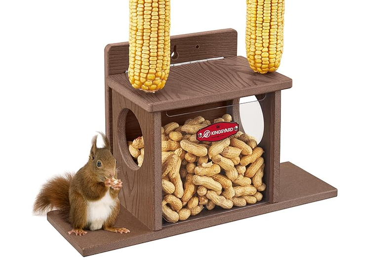097e7204e3e3a698822745a1bc31c559.png